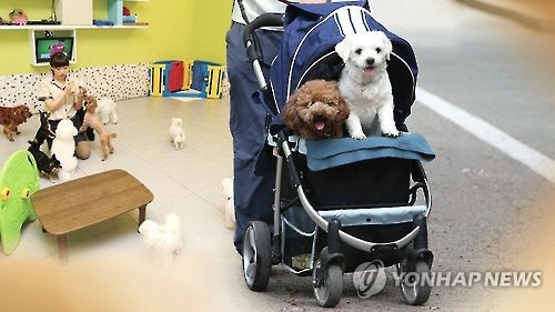 반려동물 애완견 <연합뉴스>